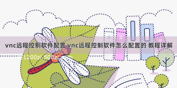 vnc远程控制软件配置 vnc远程控制软件怎么配置的 教程详解