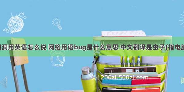 计算机程序漏洞用英语怎么说 网络用语bug是什么意思 中文翻译是虫子(指电脑程序漏洞)...