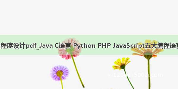 javascript高级程序设计pdf_Java C语言 Python PHP JavaScript五大编程语言 要学哪个？...