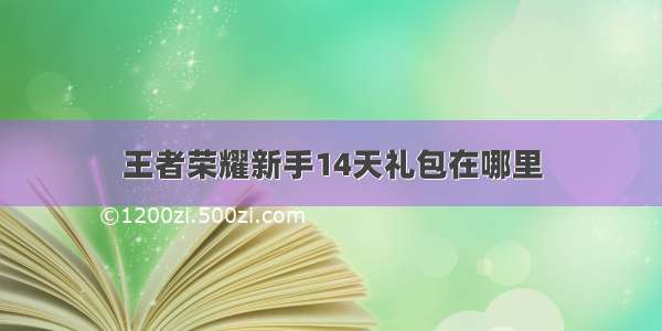 王者荣耀新手14天礼包在哪里