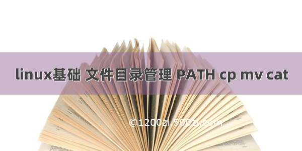 linux基础 文件目录管理 PATH cp mv cat