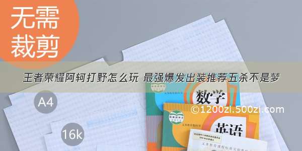 王者荣耀阿轲打野怎么玩 最强爆发出装推荐五杀不是梦