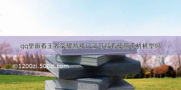 qq里面看王者荣耀游戏记录可以看使用手机机型吗