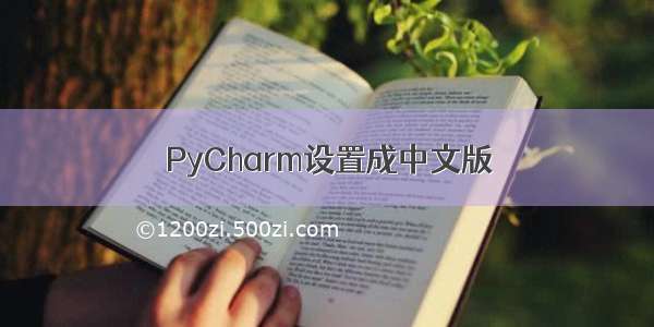 PyCharm设置成中文版