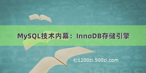 MySQL技术内幕：InnoDB存储引擎