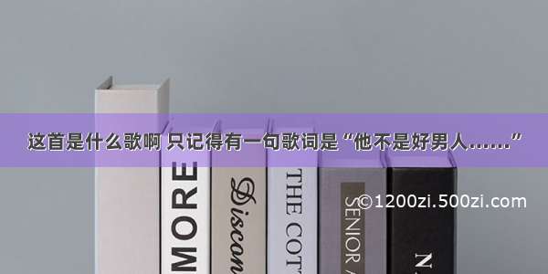 这首是什么歌啊 只记得有一句歌词是“他不是好男人……”