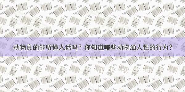 动物真的能听懂人话吗？你知道哪些动物通人性的行为？