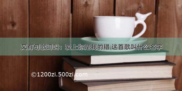 又有句歌词叫：爱上你是我的错 这首歌叫什么名字