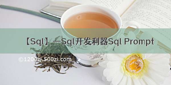 【Sql】—Sql开发利器Sql Prompt