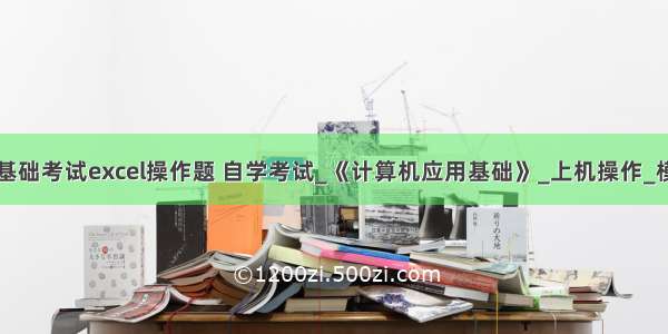 计算机应用基础考试excel操作题 自学考试_《计算机应用基础》_上机操作_模拟练习题...