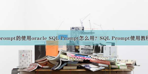 prompt的使用oracle SQL Prompt怎么用？SQL Prompt使用教程