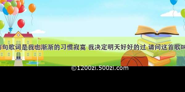 有首歌中有句歌词是我也渐渐的习惯寂寞 我决定明天好好的过 请问这首歌叫什么名字？