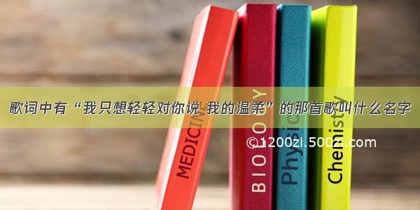 歌词中有“我只想轻轻对你说 我的温柔”的那首歌叫什么名字