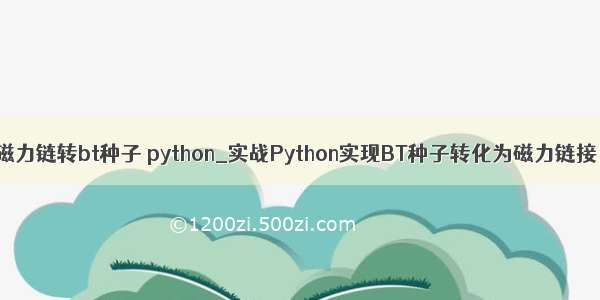 磁力链转bt种子 python_实战Python实现BT种子转化为磁力链接