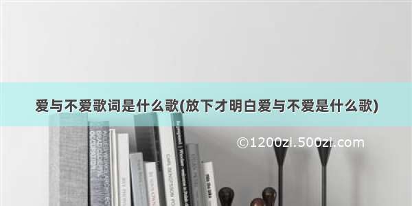 爱与不爱歌词是什么歌(放下才明白爱与不爱是什么歌)