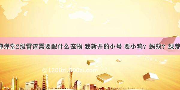 弹弹堂2级雷霆需要配什么宠物 我新开的小号 要小鸡？蚂蚁？绿芽？