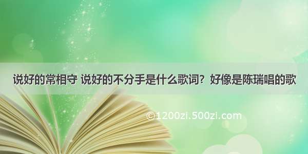 说好的常相守 说好的不分手是什么歌词？好像是陈瑞唱的歌