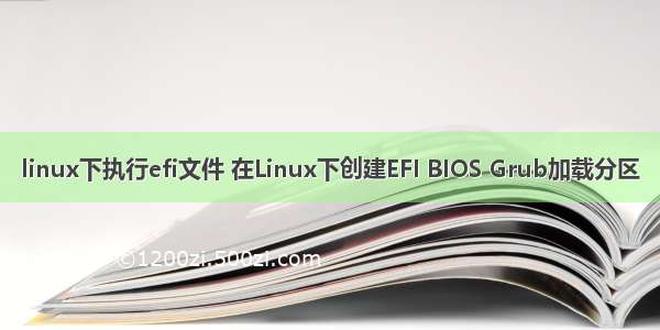 linux下执行efi文件 在Linux下创建EFI BIOS Grub加载分区