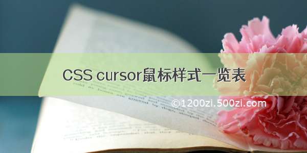 CSS cursor鼠标样式一览表
