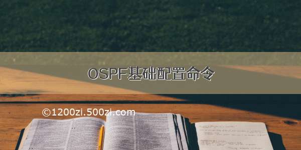 OSPF基础配置命令