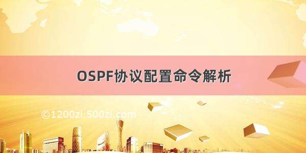 OSPF协议配置命令解析