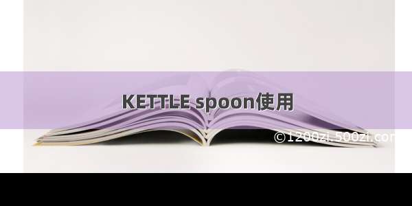 KETTLE spoon使用