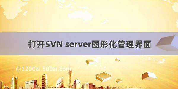 打开SVN server图形化管理界面