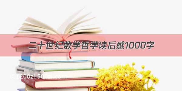 二十世纪数学哲学读后感1000字