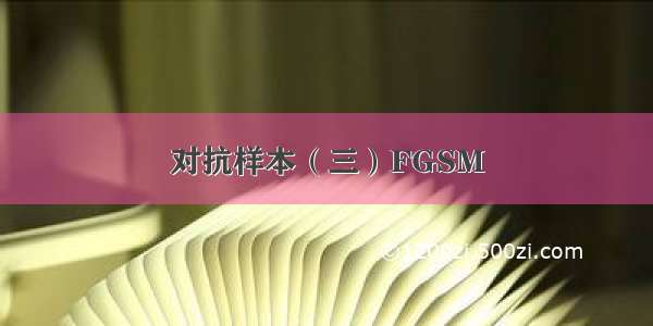 对抗样本（三）FGSM