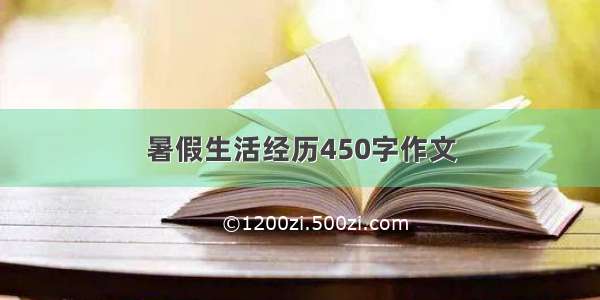 暑假生活经历450字作文