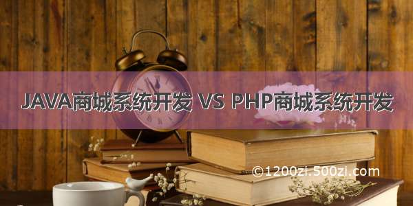 JAVA商城系统开发 VS PHP商城系统开发