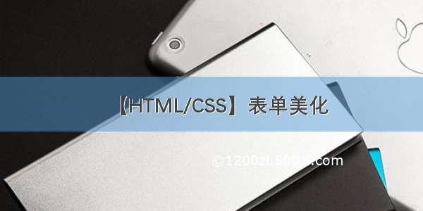 【HTML/CSS】表单美化