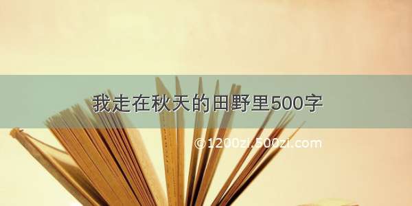 我走在秋天的田野里500字