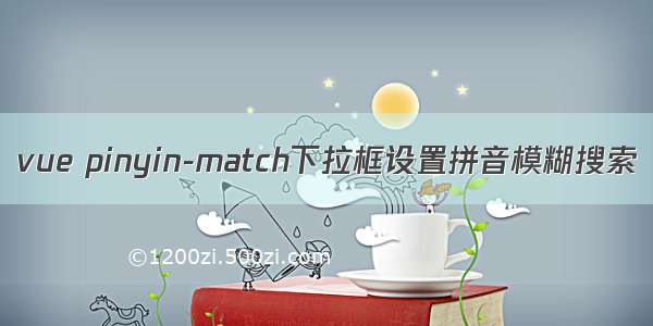 vue pinyin-match下拉框设置拼音模糊搜索