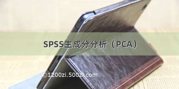 SPSS主成分分析（PCA）