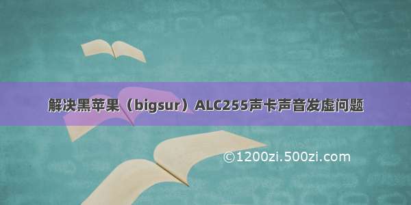 解决黑苹果（bigsur）ALC255声卡声音发虚问题