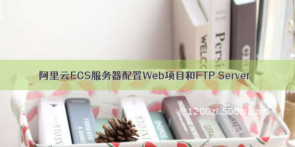 阿里云ECS服务器配置Web项目和FTP Server