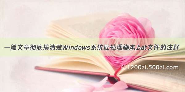 一篇文章彻底搞清楚Windows系统批处理脚本.bat文件的注释