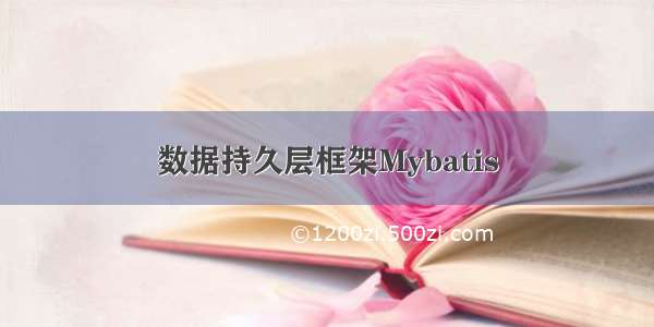 数据持久层框架Mybatis