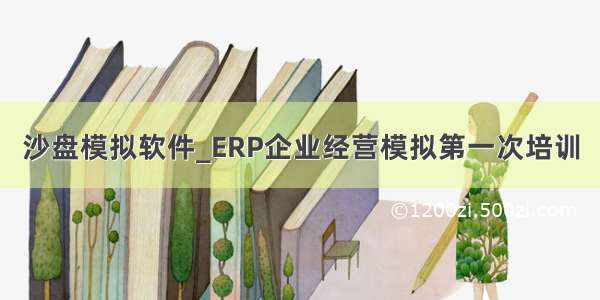 沙盘模拟软件_ERP企业经营模拟第一次培训