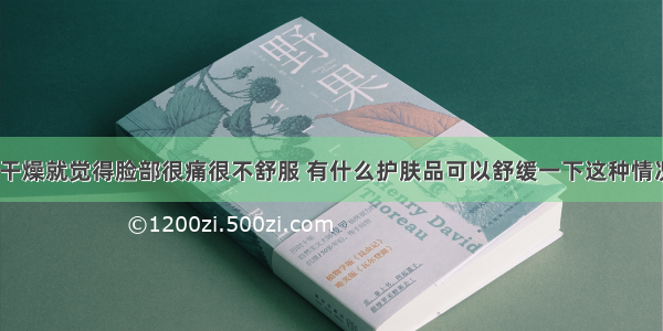 天气一干燥就觉得脸部很痛很不舒服 有什么护肤品可以舒缓一下这种情况的吗？