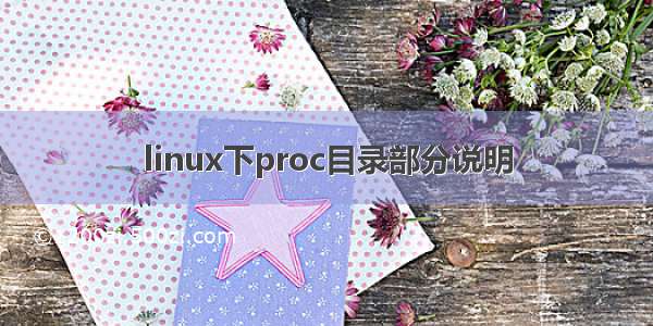 linux下proc目录部分说明