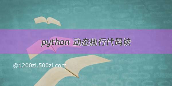 python 动态执行代码块