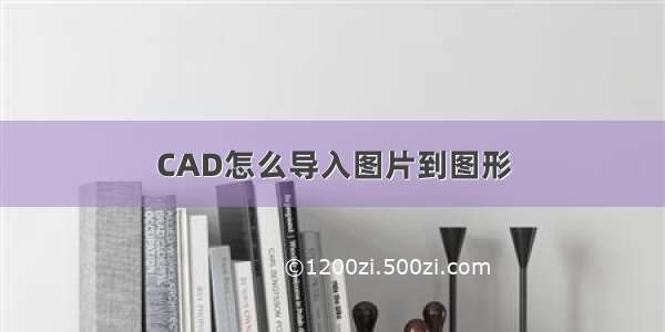 CAD怎么导入图片到图形