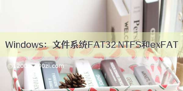 Windows：文件系统FAT32 NTFS和exFAT