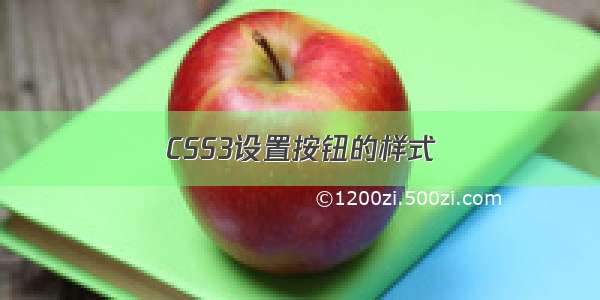 CSS3设置按钮的样式