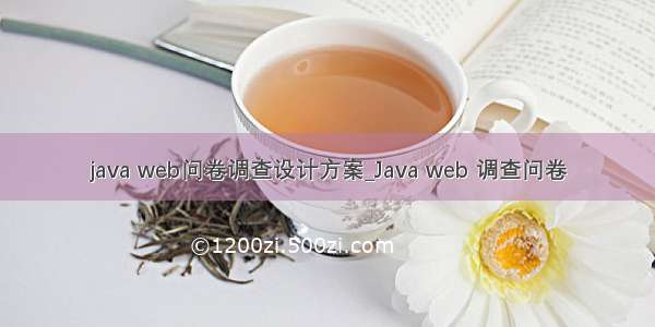 java web问卷调查设计方案_Java web 调查问卷