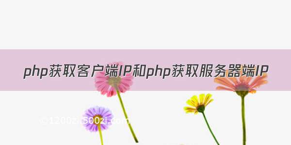 php获取客户端IP和php获取服务器端IP