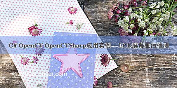 C# OpenCV OpenCVSharp应用实例--LCD屏幕脏污检测