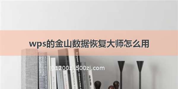 wps的金山数据恢复大师怎么用